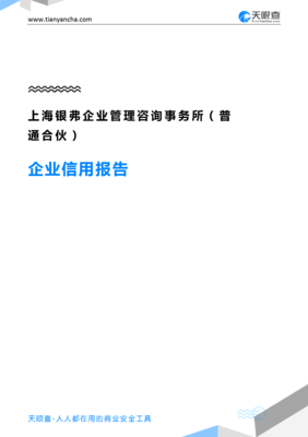 上海银弗企业管理咨询事务所(企业信用报告)- 天眼查